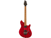 EVH EVH